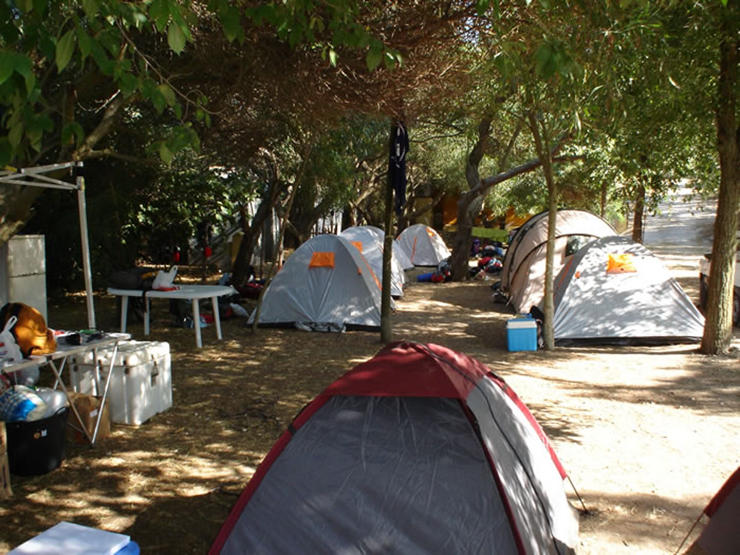 zona-camping-carpas