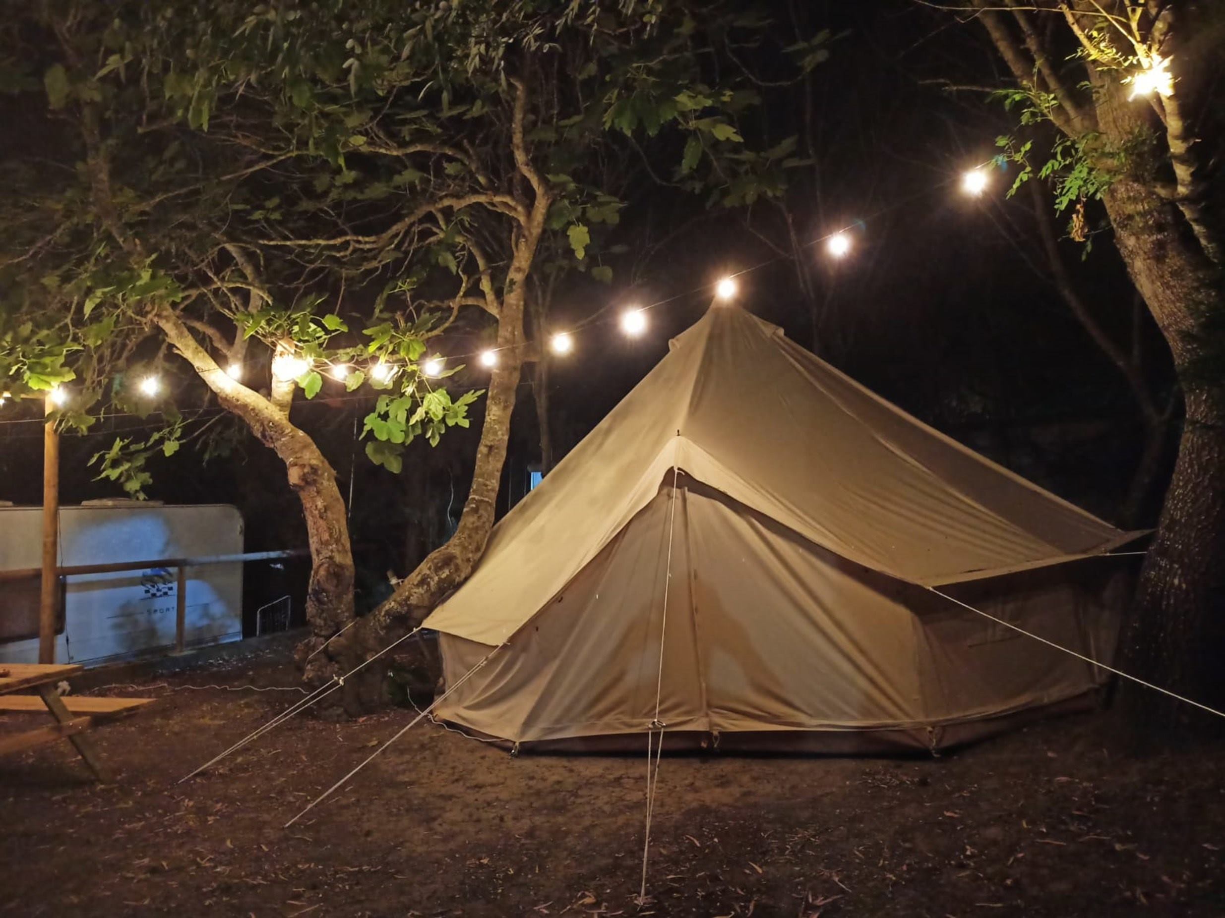 glamping-carpas